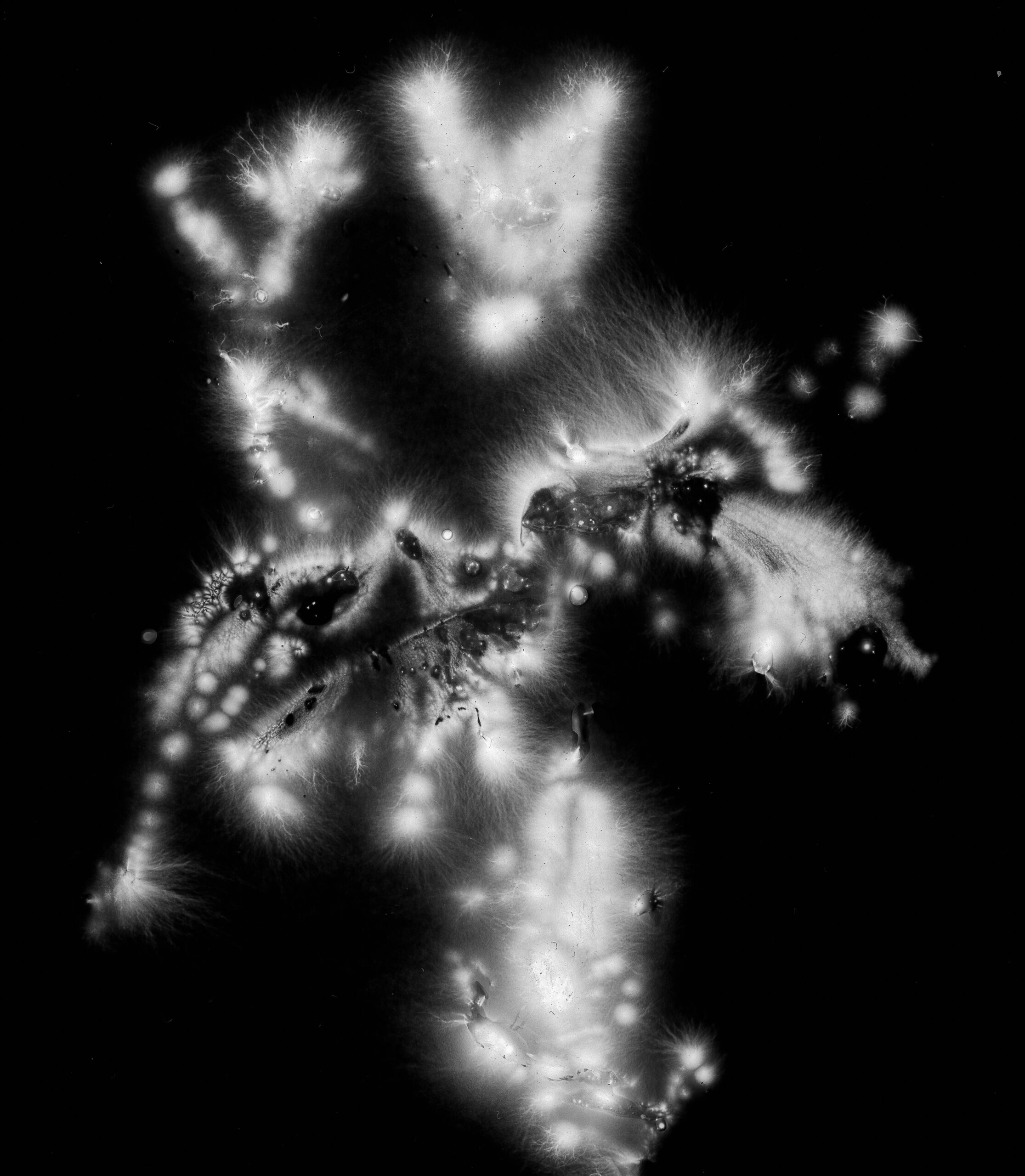 Electric - 4